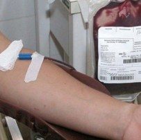 doadores de sangue e leite materno